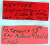 labels (neotype). Depicts CollectionObject 1522823; 56ea3412-54e1-4e6c-8ce2-a86cb9052f79, a CollectionObject.