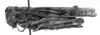 Diraneura bivenosa (Scudder, 1869): Image Carbonell, C.S. Female habitus, lateral view (unspecified type). (Otu).