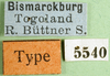 CollectionObject 1501319; 8a6bcede-9bb6-40d6-bc9a-9b220c32e43f: labels (syntype). (CollectionObject).