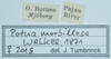 CollectionObject 1583756; 403716bd-b6f9-4158-9cc4-faf524893993: labels. (CollectionObject).