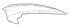 Nomotettix cristatus cristatus (Scudder, 1862): Fig 17a. pronotum, lateral view. (Otu).