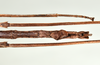 CollectionObject 1598208; QM T246825, 350e8788-2eba-44c5-89a1-27aaa31c73e3: copyright QM. male: end of abdomen, ventral view (holotype). (CollectionObject).