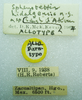 CollectionObject 1568979; adefa343-568d-4821-9acd-73e229048620: female, labels (allotype). (CollectionObject).