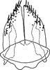 Subgenital plate, ventral view on Discolopeus diacaenus Stiller, 2019: Subgenital plate, ventral view. (Observation).