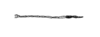 Andriana pyramidata Rehn, 1930: Plate 20, Fig. 8 (after type). female antenna. (Otu).