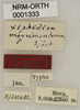 CollectionObject 1529603; 03359bb8-aa0b-4544-977a-92e15ee8a7b7: labels (holotype or syntype). (CollectionObject).