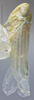 Habitus, lateral view: !! display not done !! on Hebata (Hebata) nigra (Gillette & Baker, 1895): Lateral. (Observation).