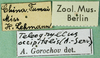 labels. Depicts CollectionObject 1501920; 4223c375-5d37-41b1-a529-0f432d2253fc, a CollectionObject.