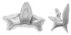 Ceuthophilus (Geotettix) nodulosus Brunner von Wattenwyl, 1888: Figs. 97-97a. epiphallus. (Otu).
