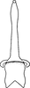 Aedeagus, ventral view on Brunerella magnifica Young, 1952: Aedeagus, ventral view. (Observation).