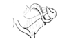 Chibchacris furcata Hebard, 1923: Fig. 44. aedeagus, lateral view. (Otu).