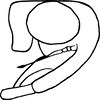 Nymph: (Observation).