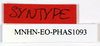 CollectionObject 1588286; e929456d-9938-4bdd-bc1e-8a079c21aed9: copyright MNHN, Paris. female, labels (syntype). (CollectionObject).
