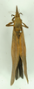 CollectionObject 1533183; 7be62e41-b2e9-450f-813a-e060cec74df2: male, entire body, dorsal view (holotype). (CollectionObject).