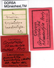 CollectionObject 1521383; a33dfdbb-5b4c-4e32-89d6-e77f20bf5aca: labels (lectotype). (CollectionObject).