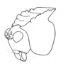 Cnemidophyllum (Cnemidophyllum) lineatum (Brunner von Wattenwyl, 1891): Figure 7; pag. 208. left anterodorsolateral view of head and pronotum. (Otu).