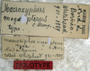 CollectionObject 1539600; d5aad2e0-fbf0-4e8d-b2c6-0455accae3a6: labels (holotype). (CollectionObject).