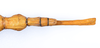 CollectionObject 1558330; 843128b7-baa7-496b-81ae-db49fd24487f: copyright ZMUH, Hamburg. female: end of abdomen, dorsal view of synonym Eustygera godeffroyi (syntype). (CollectionObject).