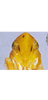 Head: !! display not done !! on Carinata rufipenna Li & Wang, 1992: face. (Observation).