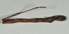 CollectionObject 1561268; 5a0ce6ed-04f1-4f16-ba85-2c9b1b7fe1df: copyright USNM, Washington. (CollectionObject).