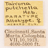 CollectionObject 1585750; 91730502-62e7-4c9a-8d27-fa79d894eea1: labels (allotype). (CollectionObject).