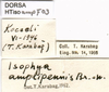 CollectionObject 1507109; 7d77e5b7-2c86-4399-b27f-d91512595131: labels. (CollectionObject).