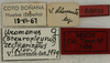 CollectionObject 1535226; b09dbe10-f6c4-4d47-b6ad-0add5957d348: labels (holotype). (CollectionObject).