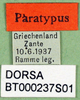 labels (paratype). Depicts CollectionObject 1501859; c2dc84c7-7e0a-4b24-8d60-f143bc7995aa, a CollectionObject.