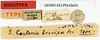 CollectionObject 1559335; 26e0e93c-4c32-4a08-a6ae-046d360d295d: copyright MNHN. Data labels. (CollectionObject).