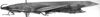 CollectionObject 1565614; 61bddbc9-bfd2-406b-875e-67f3d74a976e: Image Carbonell, C.S. female, lateral view. (CollectionObject).