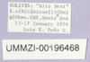 CollectionObject 1499680; 2c4c12f2-faf6-4e94-a7d8-695a622df1fb: labels. (CollectionObject).