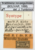 CollectionObject 1572230; 436bc8e0-0f2b-429b-b284-06453976ec17: labels (paralectotype). (CollectionObject).