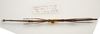 CollectionObject 1595827; 480618f6-53ad-4774-aff9-787392cc40d4: copyright LKCNH Singapore. female, dorsal view (holotype). (CollectionObject).