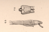 CollectionObject 1561935; 5bd628fb-c89e-41b3-9cd6-15917e04f82a: original publication. (CollectionObject).