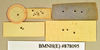 Hyposphaeria scabra (Thunberg, 1810): Holotype, male, labels, reverse. BMNH(E)#878095. (Otu).