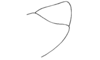 Syntomacris vittipennis Walker, 1870: Fig. 3. male, subgenital plate, lateral view. (Otu).