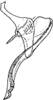 Aedeagus, lateral view on Apheliona xerophila Dworakowska, 1994: Aedeagus, lateral view. (Observation).