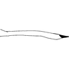 Pygofer appendages on Empoasca (Empoasca) dominica (Ghauri, 1974): Pygofer appendages. (Observation).