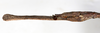 CollectionObject 1559001; 11854f69-fd51-4979-b3b0-4565cb6cf245: copyright MHNG, geneva. female: end of abdomen, lateral view (holotype). (CollectionObject).