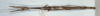 CollectionObject 1557247; cd679769-be0f-441c-9884-0c3d4493b477: copyright NHRS, Stockholm. female, dorsal view of Carausius mercurius (holotype). (CollectionObject).