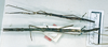 CollectionObject 1557706; e7f316d9-c318-4e33-a52e-7222d778ab23: copyright MNHN, Panel coll., Paris. female (holotype, beneath). (CollectionObject).