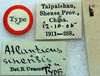 labels (holotype). Depicts CollectionObject 1517128; cd69ea84-eca0-4855-9674-ede3a879a1b9, a CollectionObject.