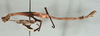 CollectionObject 1561881; 62168397-81e1-4c1e-bfb0-cdb19c7d1b70: copyright USNM, Washington. (CollectionObject).