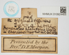 CollectionObject 1583704; 5a3f8a5c-2bde-4846-a869-dd94e5b21ec5, NHMUK010924405: labels (syntype). (CollectionObject).
