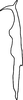 Stylus on Anufrievia confluensa Tan, Jiang & Song, 2021: (Observation).