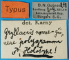 CollectionObject 1500208; 39e41965-ce85-4802-b15d-b543fd77f7c3: labels (syntype or holotype). (CollectionObject).
