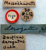 CollectionObject 1517126; b06a344d-517c-4280-9fb2-640decf47f49: labels (holotype). (CollectionObject).