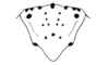 Eucosmetacris cingulata (Bolívar, 1881): Fig. 118. epiproct. (Otu).