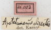 CollectionObject 1533012; NMW 26.003, 969b4a91-edc5-4a39-9034-e9a2aa0dd33d: labels. (CollectionObject).