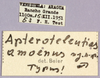 CollectionObject 1499273; 44a4a234-c4a8-4b43-b358-54a2ec224aa6: labels (holotype). (CollectionObject).